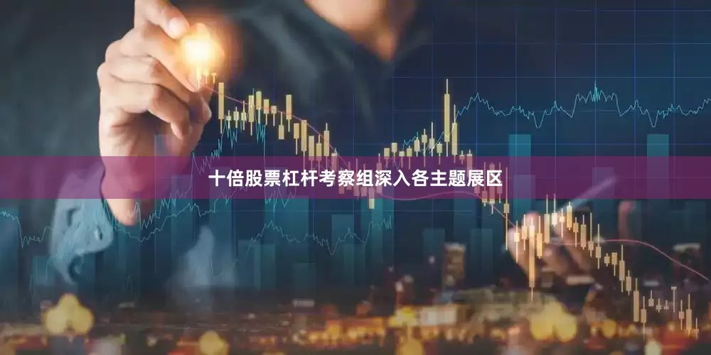 十倍股票杠杆考察组深入各主题展区